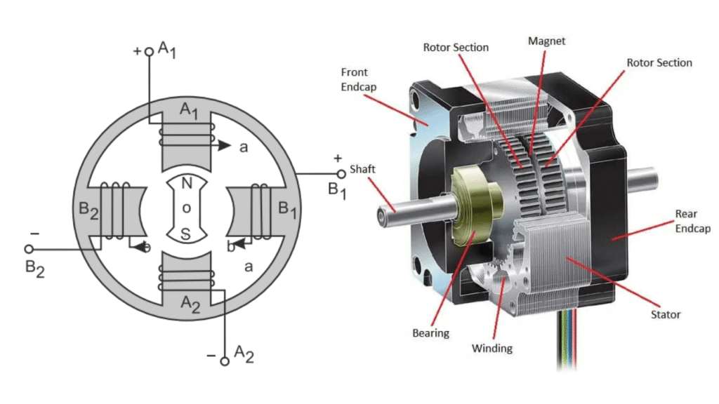 Diagram of Stepper Motor