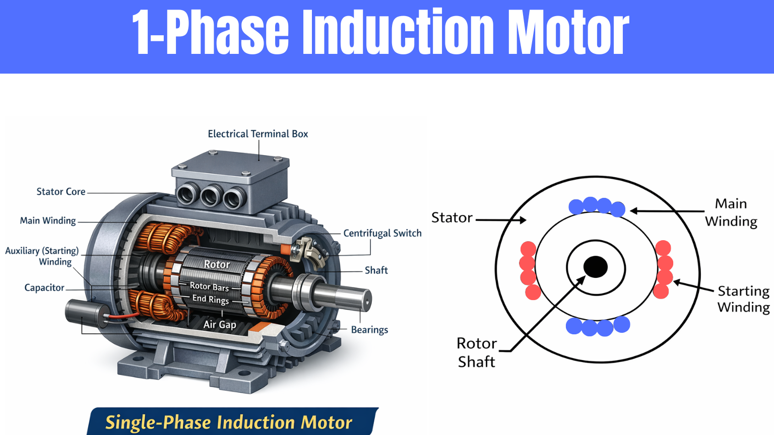 Construction of single phase induction motor