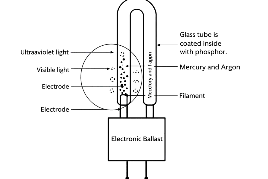 compact fluorescent lamp